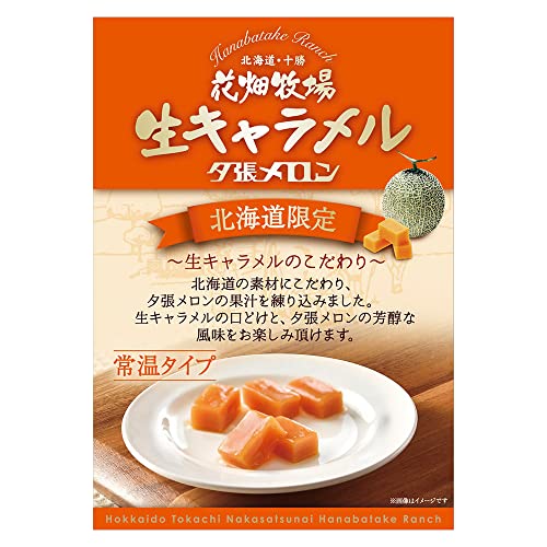  【常温タイプ】生キャラメル 夕張メロン 2