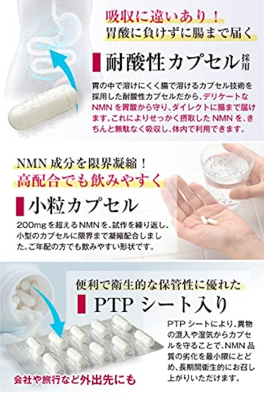 オイロスト NMN プラチナム 12000 6
