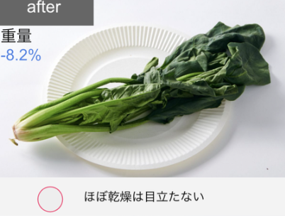 162L 冷凍冷蔵庫 16