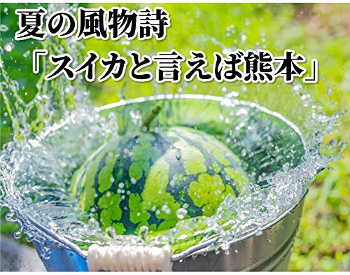 大玉すいか 3