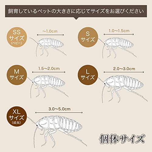 爬虫類の餌のおすすめ人気ランキング【2025年】 | マイベスト 爬虫類の餌のおすすめ人気ランキング【2025年】 | マイベスト