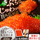 いくらのふるさと納税返礼品のおすすめ人気ランキング【2026年8月】 5