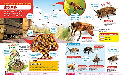 講談社の動く図鑑MOVE はじめてのずかん こんちゅう 5