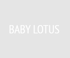 baby Lotus 1