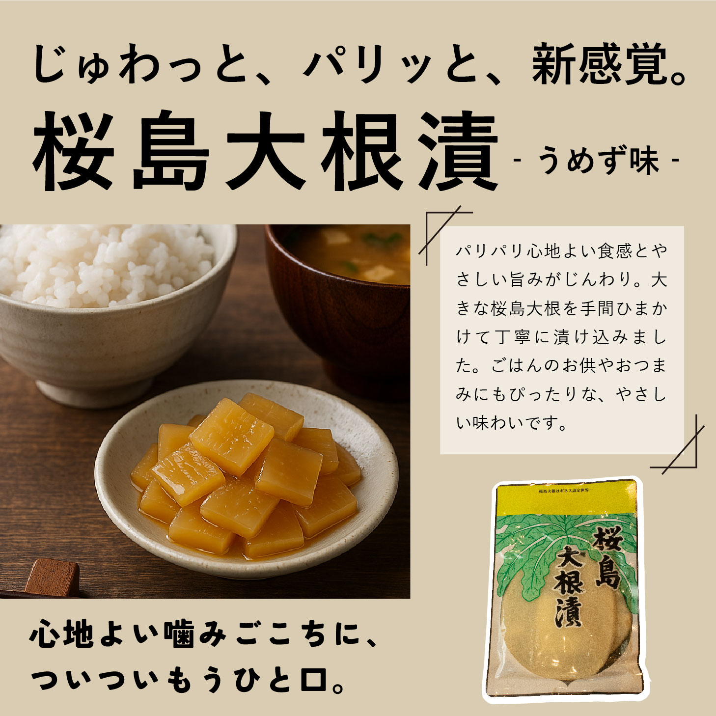 鹿児島グルメ詰め合わせ 4