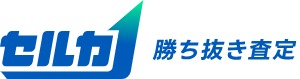 セルカ 1