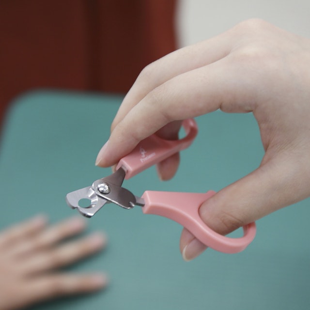 ペティオ プレシャンテ 犬用ネイルカッターを他商品と比較 口コミや評判を実際に使ってレビューしました Mybest ペティオ プレシャンテ 犬用ネイルカッターを他商品と比較 口コミや評判を実際に使ってレビューしました Mybest