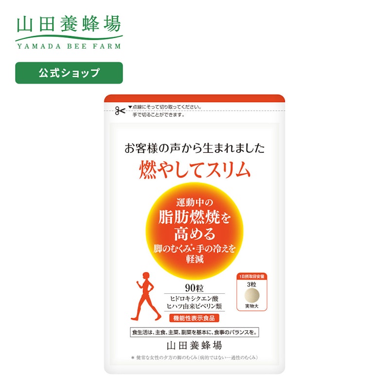 燃やしてスリム 1