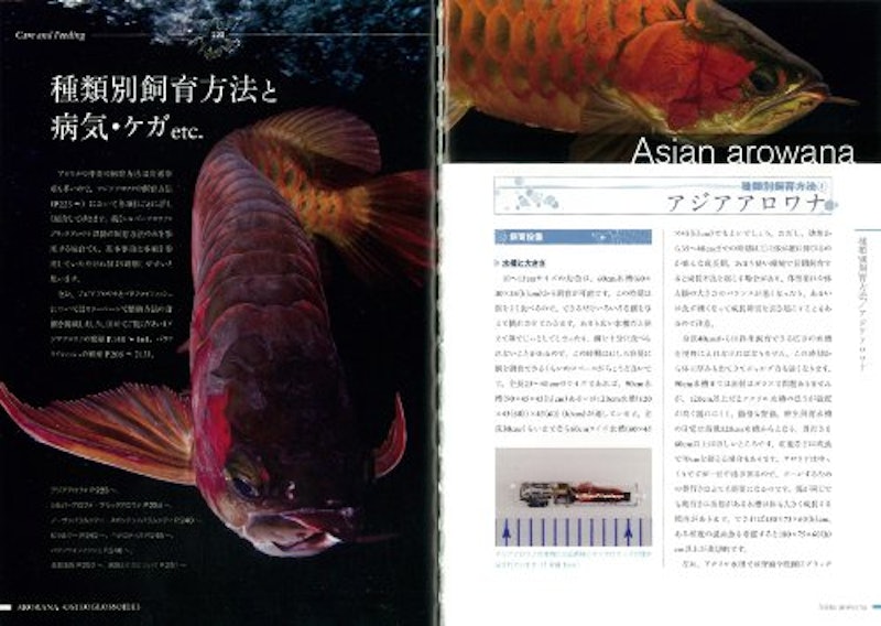 21年 熱帯魚図鑑のおすすめ人気ランキング10選 Mybest 21年 熱帯魚図鑑のおすすめ人気ランキング10選 Mybest