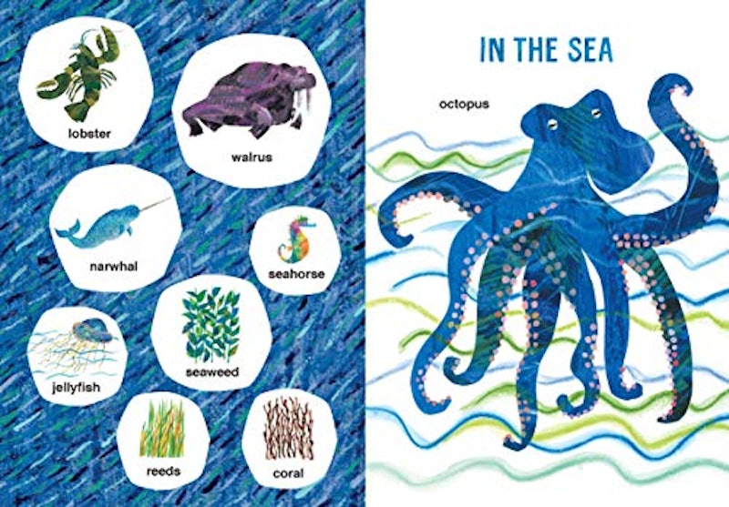 Eric Carle's Book of Many Things (The World of Eric Carle) 2