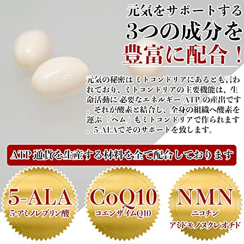 トリポワブロック 5