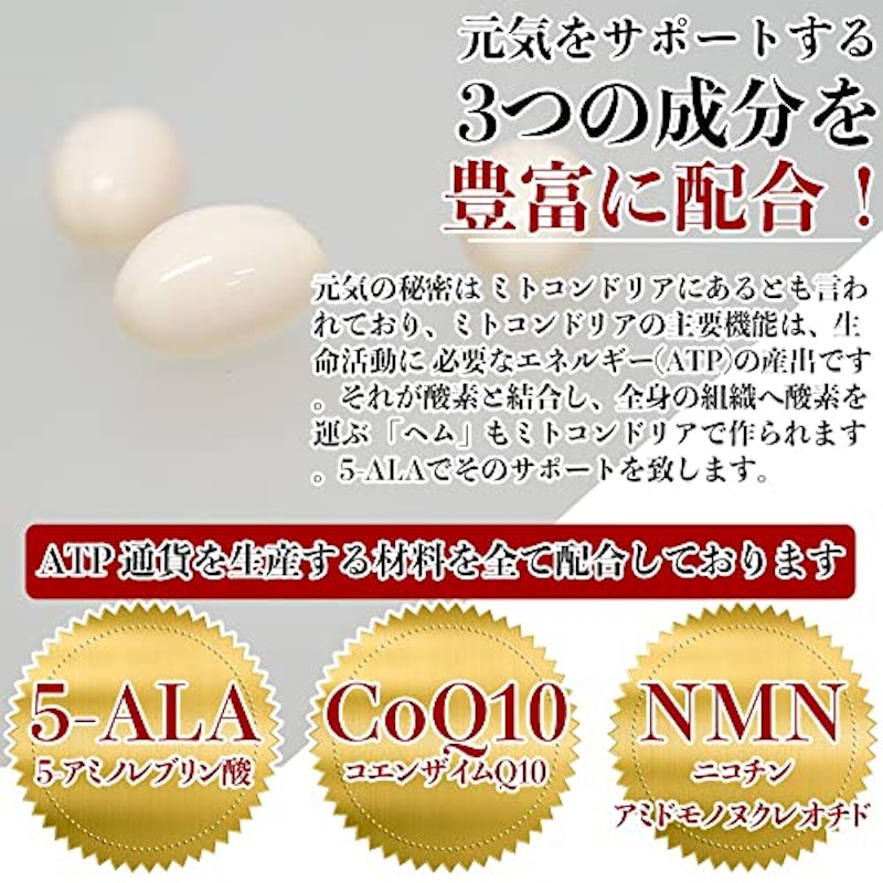 トリポワブロック 5