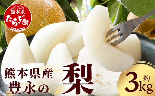 熊本県産 梨 1