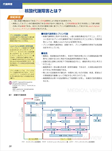 カラーイラストで学ぶ 集中講義 生化学 改訂2版 4