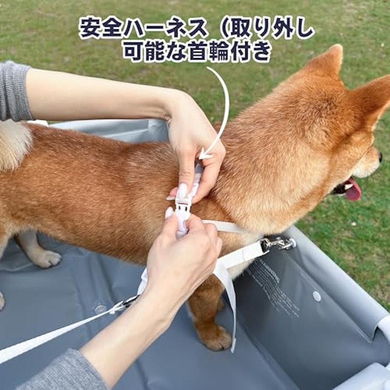 BEBEROAD PETS ペット用バスタブ 5