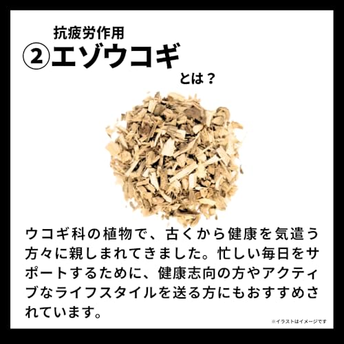 アルティメット R-MAX 3