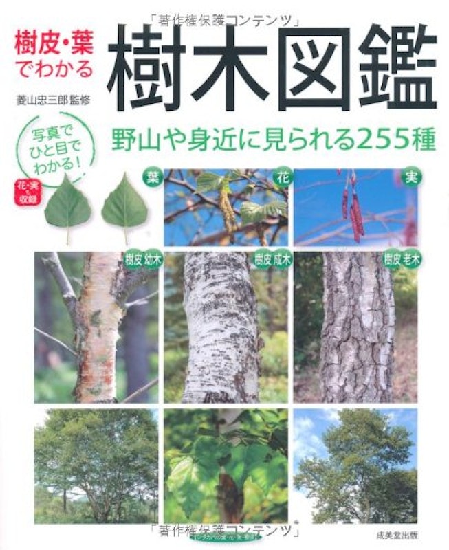 樹皮・葉でわかる樹木図鑑 1