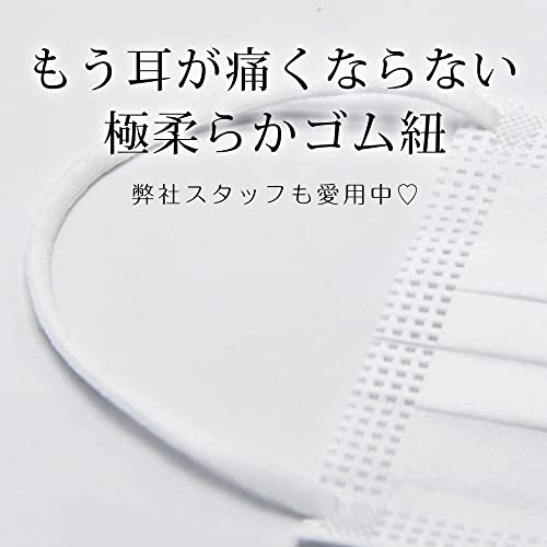 プリーツマスク 6