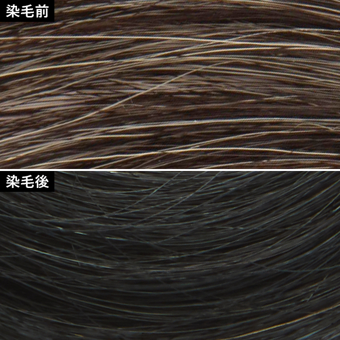 EXメンズ ヘアマニキュア（白髪用） 3