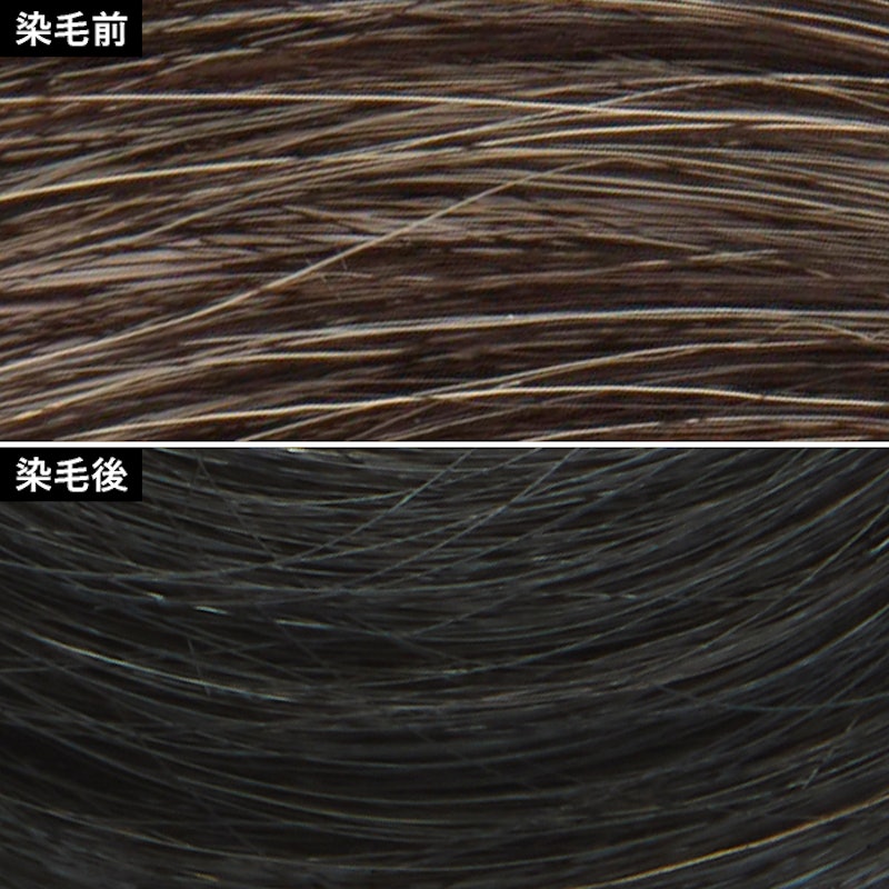 EXメンズ ヘアマニキュア(白髪用) 3