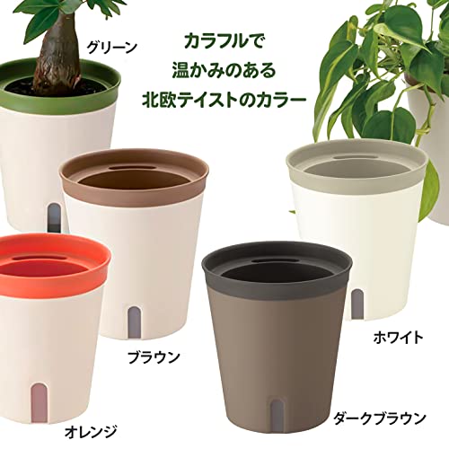 ミエルノPlus ポット 6