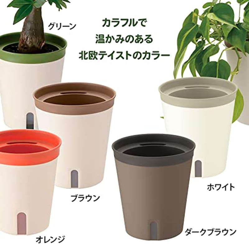 ミエルノPlus ポット 6