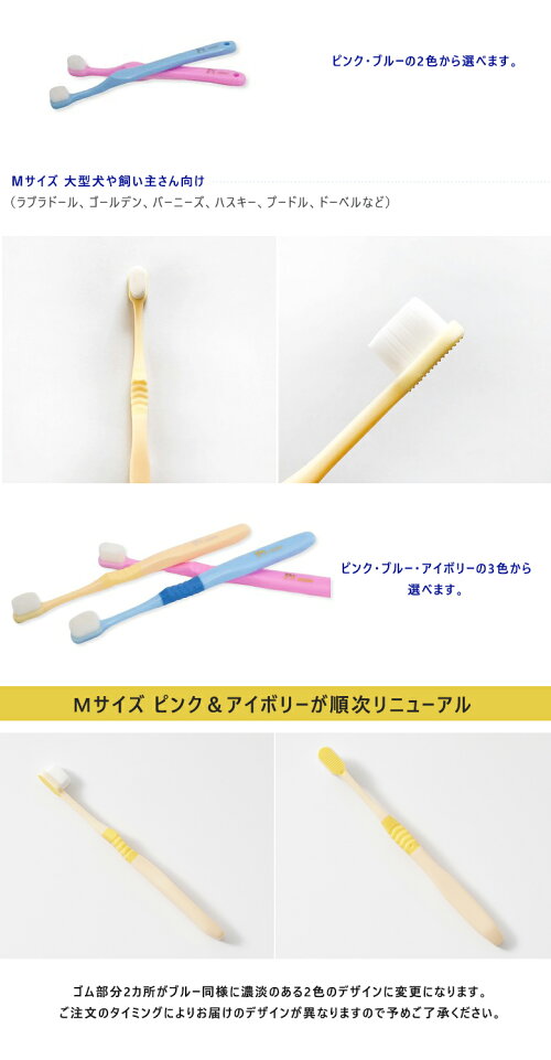 天使の羽ブラシ 6