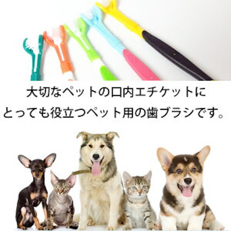 犬用歯ブラシ 5