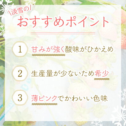 白いちご淡雪 3