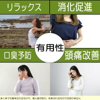 特級 ジャスミン茶 4