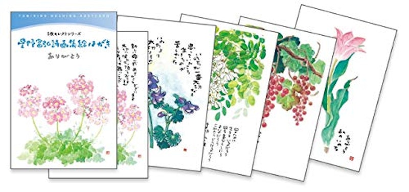 星野富弘 絵はがき 3