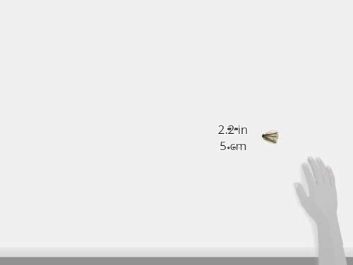 ファクト  TGブロー 2