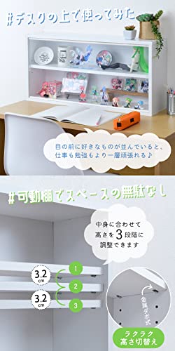 コレクションケース 4