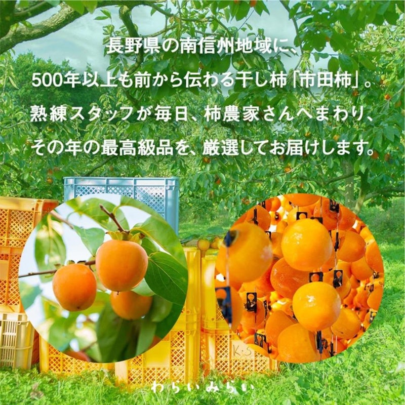 市田柿 6