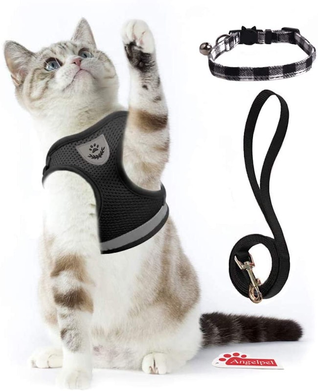 猫用ハーネス 4