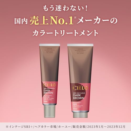 カラートリートメント 全体用 アッシュブラック 2