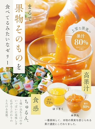 なちゅるん 和歌山県産 飲むジェリー 4