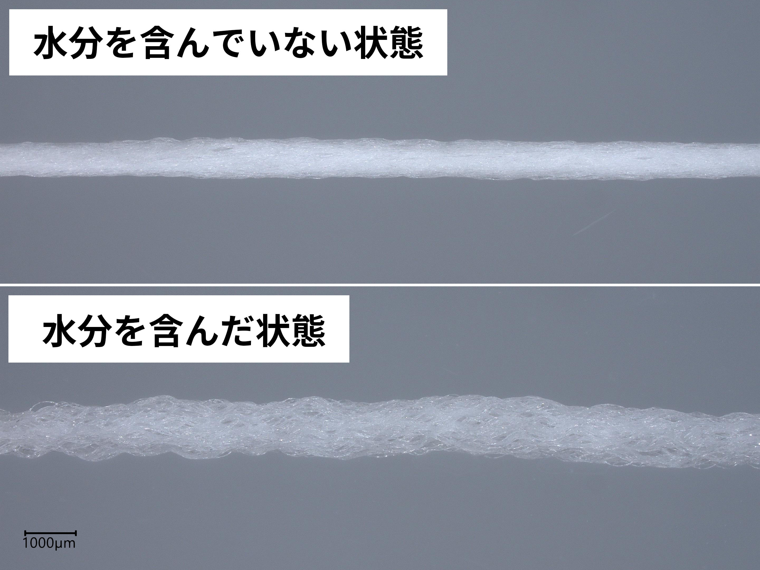 デンタルフロス ワックスなし ふくらむタイプ 3