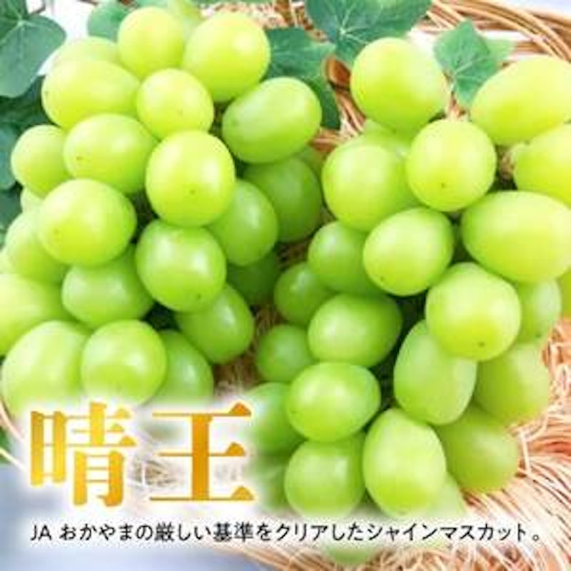 晴王 シャインマスカット ぶどう 2