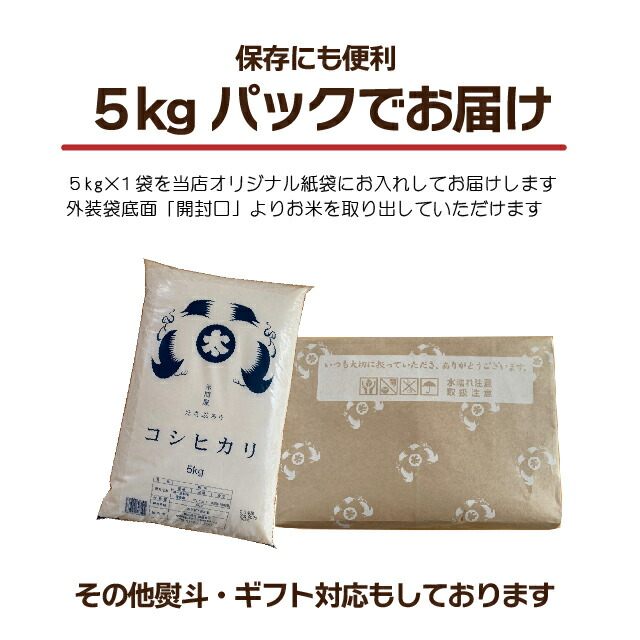 コシヒカリ コシヒカリ 5