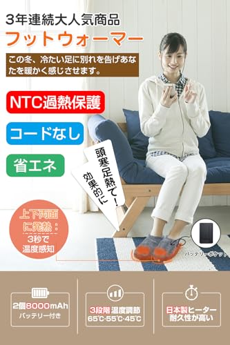 電気スリッパ 2