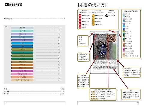 千葉の昆虫図鑑 2