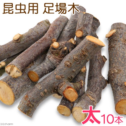 足場木 1