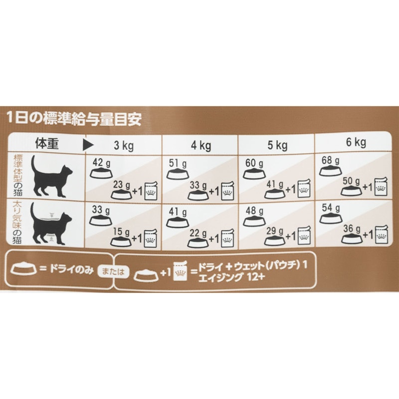 エイジング12+ 4