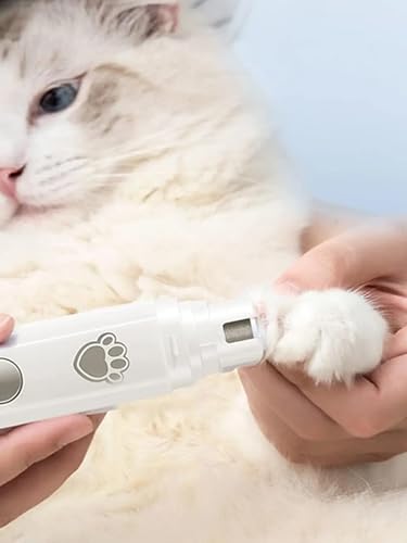 犬猫用爪切り 2