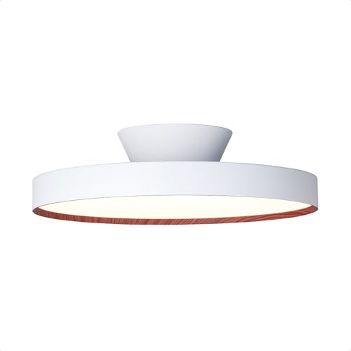 6000 LED-ceiling light 1