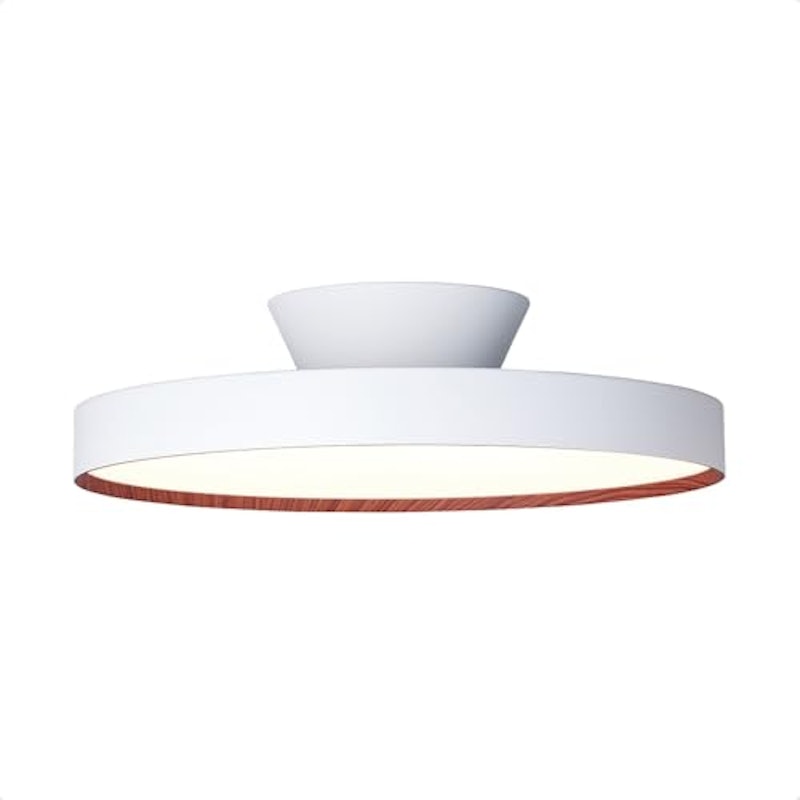 6000 LED-ceiling light 1