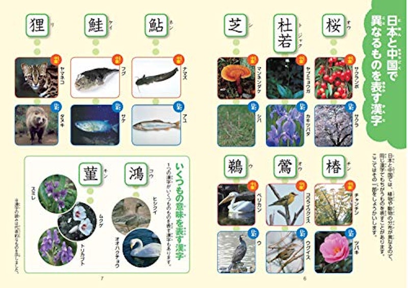 新レインボー小学漢字辞典 改訂第6版 ディズニー版 6