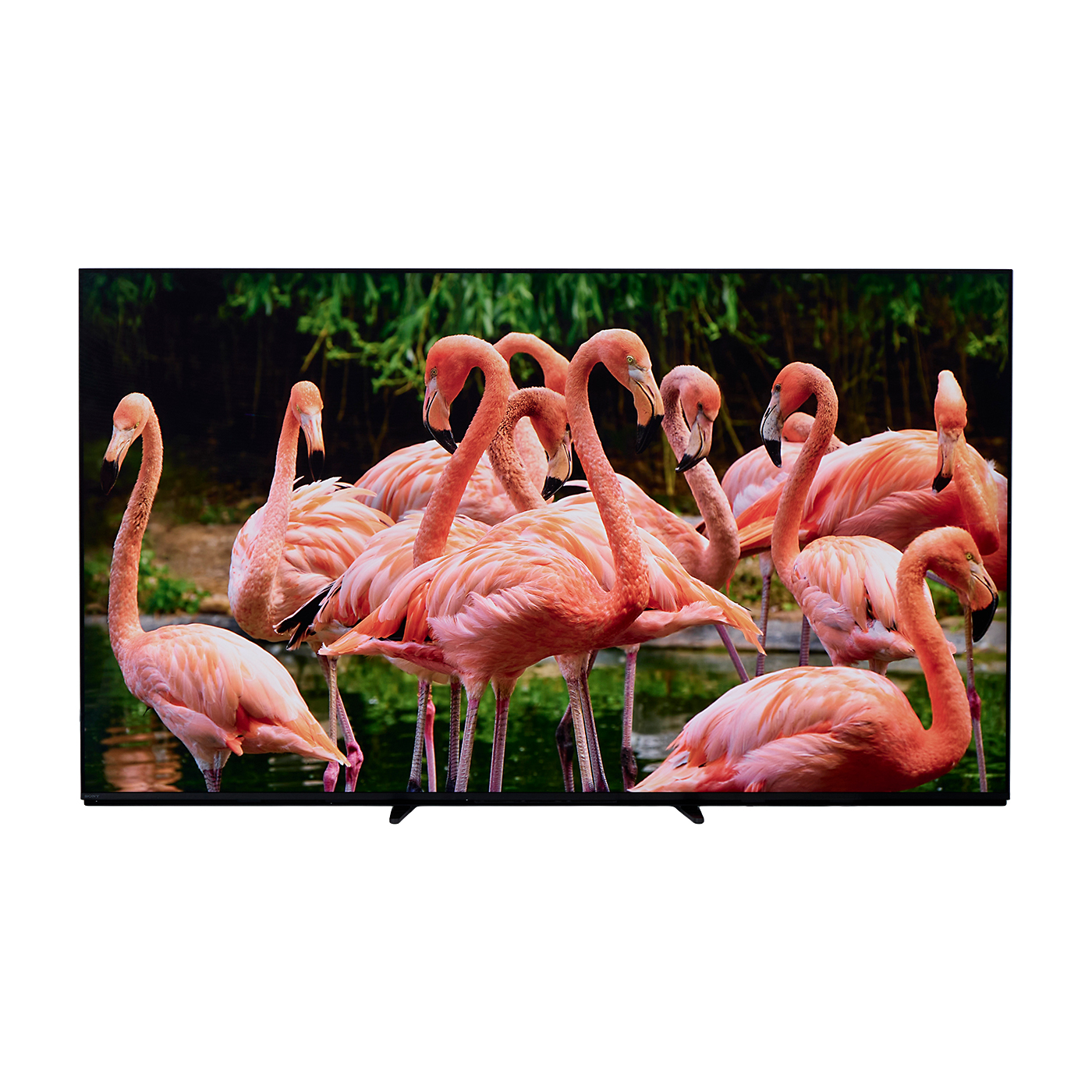 ソニーの65インチテレビのおすすめ人気ランキング【2025年