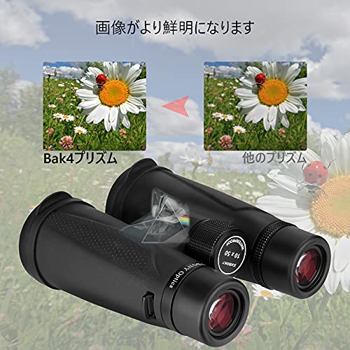 双眼鏡 3